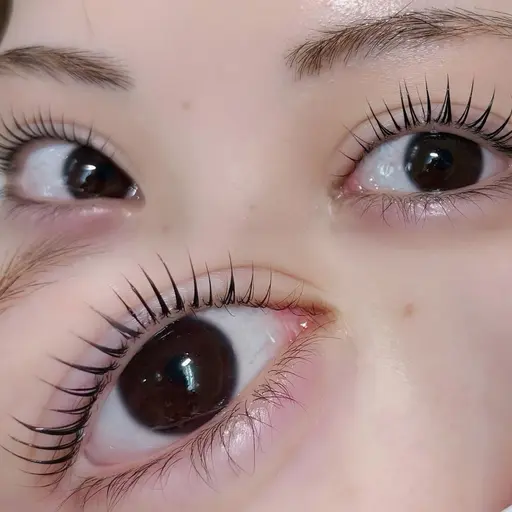 🫧練習モデル🐰【まつげパーマorパリジェンヌ※オフなし限定】🩰コーティング付