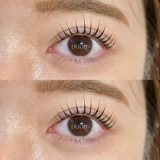 【まつ毛ティント🇰🇷】パリジェンヌラッシュリフトorまつ毛パーマ💖12月ご予約変更キャンセル不可🙇束感仕上げ🫶