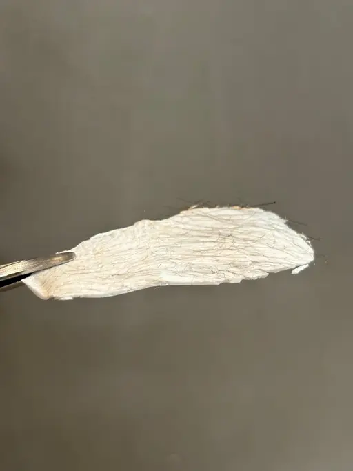 【全顔フェイスWax🌼45%off💕】計８ヶ所(額、眉間、頬、こめかみ、鼻、鼻下、口下、顎下)撮影モデル