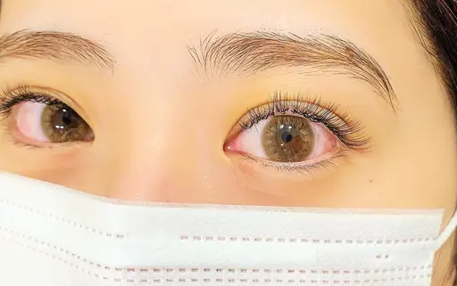 【LEDモデル 26日(金)16時30分限定】LEDボリューム300本オフあり(オフ＋1500円)