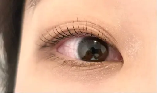 (2/22 15:00-限定)まつ毛パーマ　無料　90分