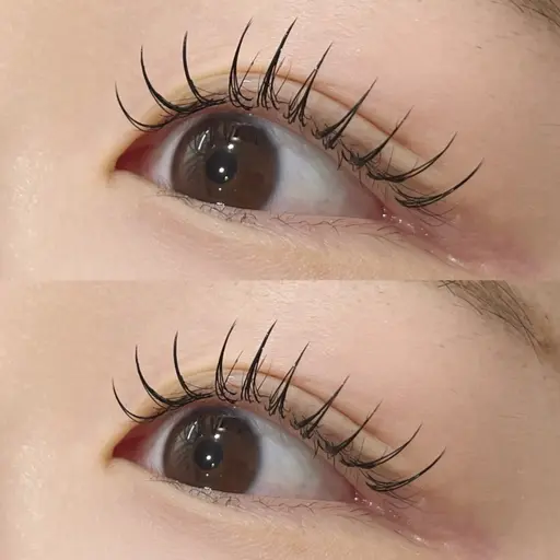 🩶🩷フラットラッシュマツエク​〜​100本までオフ無料🩷🩶