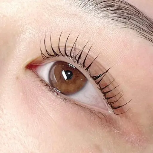 🤍18〜21日限定特別価格🤍パリジェンヌラッシュリフト🌟コーティング付き🌟【ラッシュリフトに変更可能♡】