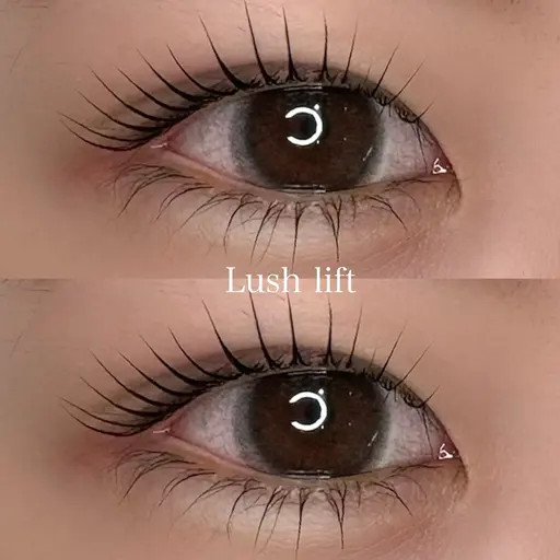 限定(練習モデル)マツパ