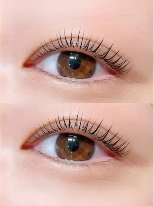 🎀【似合わせラッシュリフト】🎀 自まつげをくるんと優しいカールに 🫶まつげ《練習モデル募集》／技術向上のため無料✨