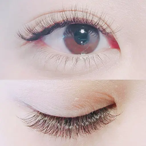 ★人気No.1★🐯ボリュームラッシュ　300本(100束)🐯【初回オフ無料】