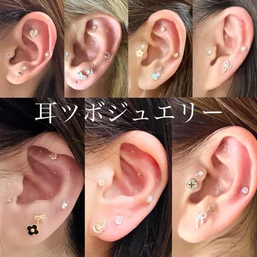 豊富なパーツ!美と健康をサポート!耳つぼジュエリー♪両耳10粒2200円~