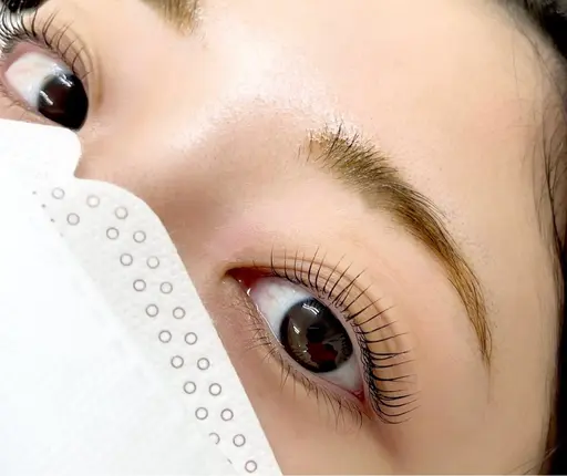 パリジェンヌラッシュリフト🕊️🤍＋マツエクオフ1500円