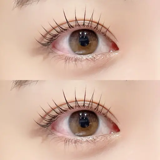 《ご新規様限定》まつ毛パーマ👀✨(+500円でパリジェンヌに変更可🙆‍♀️)