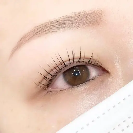 【今月最安値】まつげパーマ＋眉ワックス(パリジェンヌもOK)コーティングトリートメント仕上げ