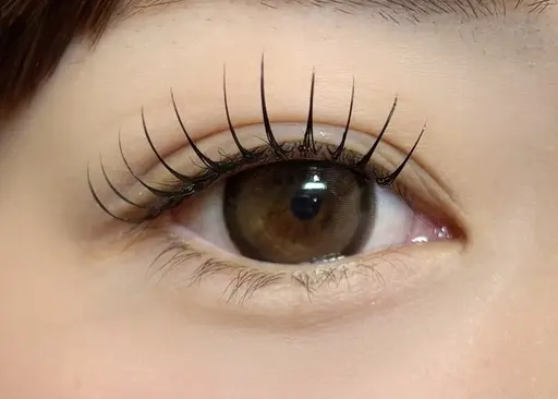 ウルトラソフトグードラッシュ　特殊加工毛質！　100本