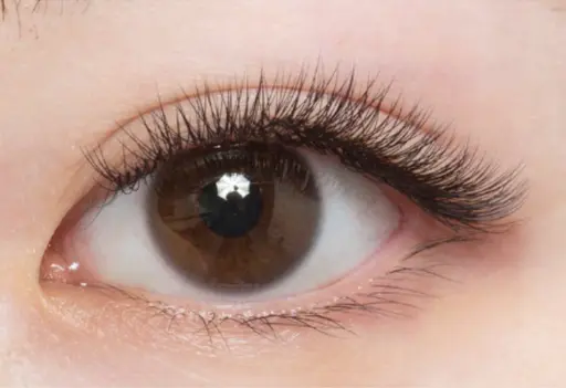 【LEDマツエク・ノンアレルゲン使用】🌟ボリュームラッシュ120束⚠️オフ・付け足し不可