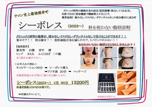 新痩身＆小顔✨シーボレス2023〜　針を使わない脂肪撃退❗❗クリニック同等ケア💪ボディメイク◎　メンズ可