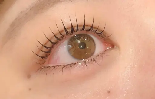 ※1名様限定　3月13日19時から　【まつ毛パーマ（上）】モデル価格 ¥0