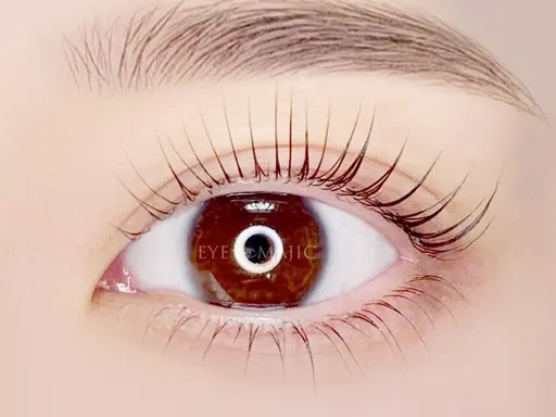 当日限定【エクステオフ無】上パリジェンヌラッシュリフトorまつ毛パーマ【コーティング仕上げなし】