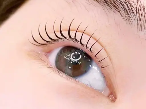 【2/17~22限定‼️】まつげパーマ🤍¥4400