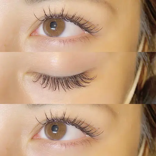 【数名限定モニター価格】LEDフラットラッシュ120本🥞束感コーティング仕上げ🪄