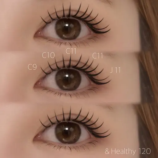 フラットラッシュ120本+アンドヘルシー(オフ無料)