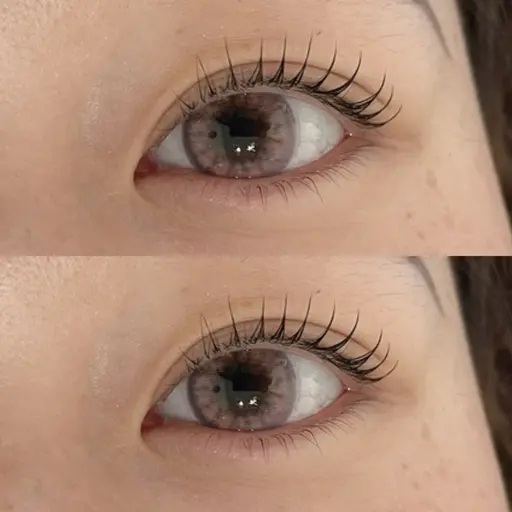 ご新規様限定 ꒰꒰ まつげパーマ ꒱꒱ ¥5,000