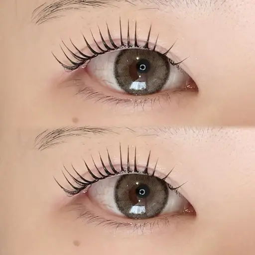 ‼️クリスマスイブ限定🎅‼️人気No.１韓国風束感まつ毛パーマ［コーティング仕上げ付き🌼］