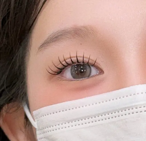 「NO.1人気」韓国🇰🇷うるうる束感パリジエンヌ ✨ラッシュリフト