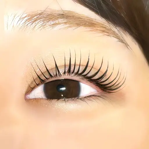 6月末まで❗️似合わせまつ毛パーマ