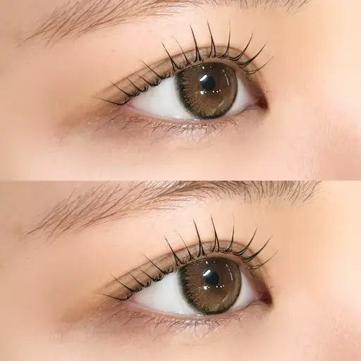 ⭐️1月限定⭐️パリジェンヌラッシュリフトorラッシュリフト