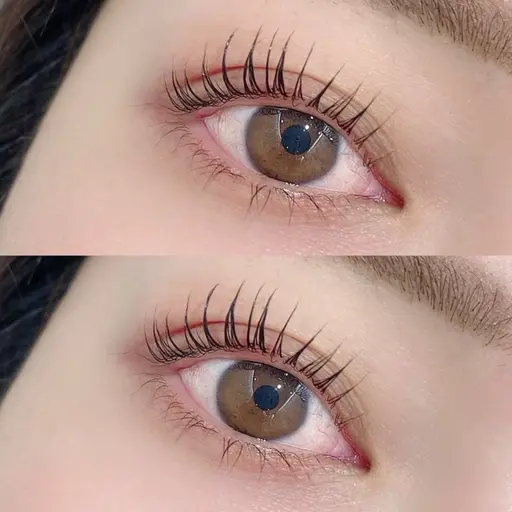 【12月平日限定🌸】まつげパーマ（デザインラッシュリフト）