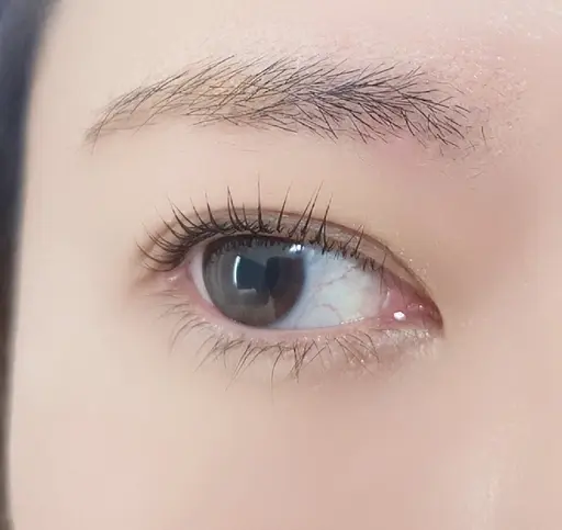 まつ毛パーマ＋コーティング ￥4180