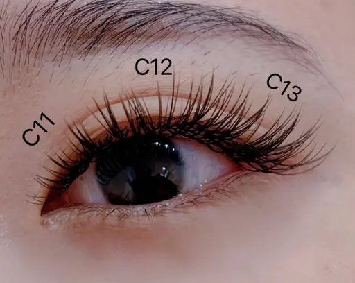 期間限定💗新規オフ込み💗 🌈バインドロック💗ボリューム感🌟持続力🌟120束