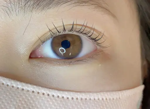 12月限定！✨ご新規様限定✨3種類から選べるラッシュリフト（まつ毛パーマ）+ケラチントリートメント＋束感コーティング付！