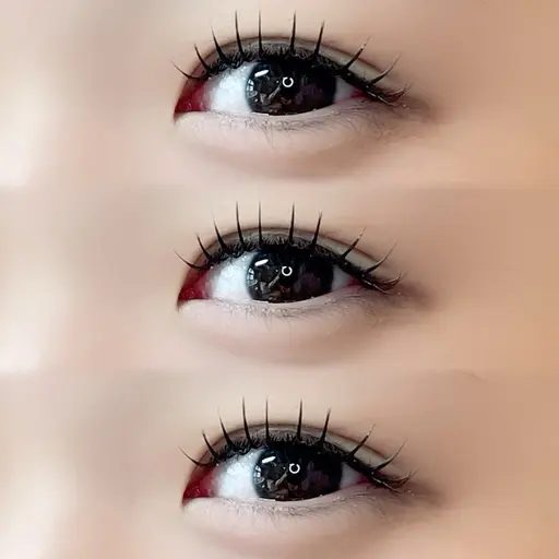 🌟【2/8限定】🌟🌺フラットラッシュ100本🌺※本数追加可能