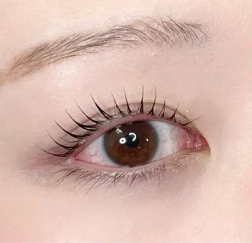 【平日限定】🎀ご新規様ラッシュリフト＃金沢市＃金沢市まつげパーマ＃金沢市まつぱ