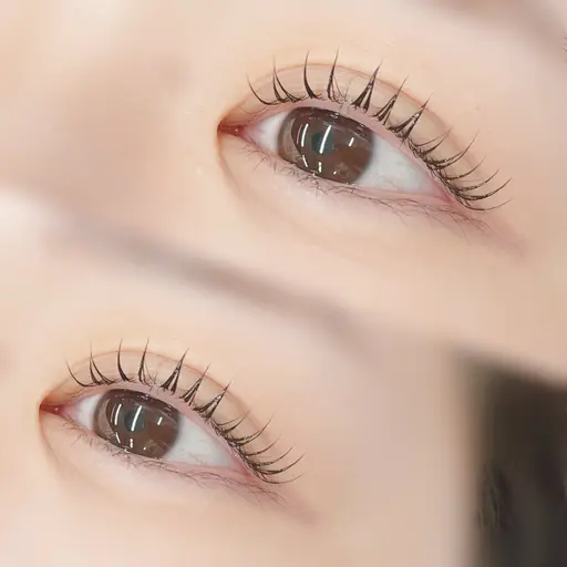 💠当日限定💠まつ毛パーマorパリジェンヌラッシュリフト