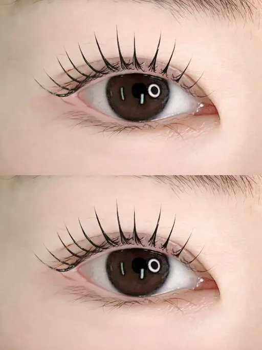 新規限定🦋韓国風束感🦋根元から立ち上け パリジェンヌラッシュリフト/コーティング仕上げ4980➡️3990