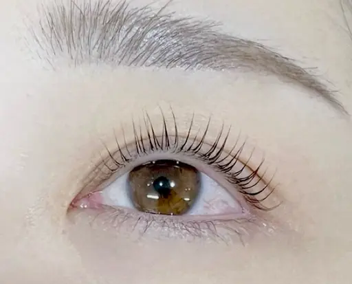 オープン価格【5名様限定】✨ラッシュリフト上のみ✨修復ケアTR付🌷