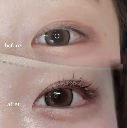 ✨🎀まつ毛パーマ🎀✨(女性限定)