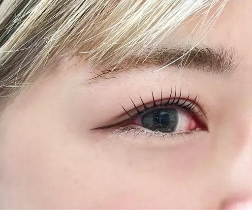 新規   上下ラッシュリフト    トリートメント込み