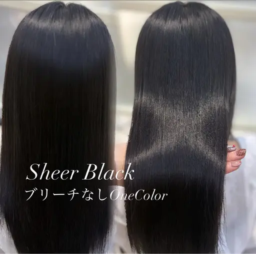 ワンカラー🐶➕内部補習トリートメント