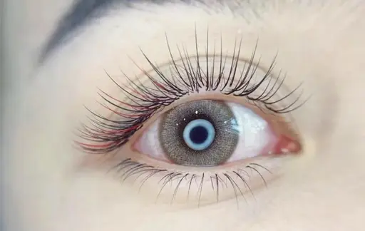 ❤️フラットラッシュ80本3000円/100本3680円 オフ+500円