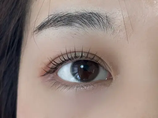 ⭐️4/9(木)新規限定価格⭐️パリジェンヌラッシュリフト🪽根元からしっかり立ち上げてまつげの長さ出したい人に🎀