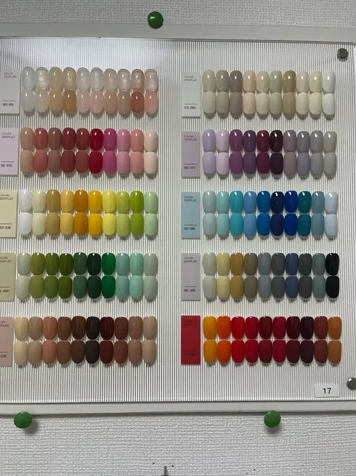 ワンカラー★オフなし