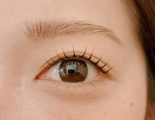 🌻人気No. 1メニュー🫶まつげパーマ👀¥6050🌻