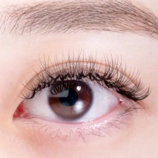 🪄束エクステ🪄所要時間60分前後