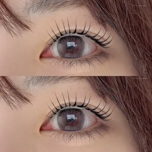 《2/5・2/6限定🍊まつげパーマ》初めての方に◎｜束感仕上げ ¥3,300