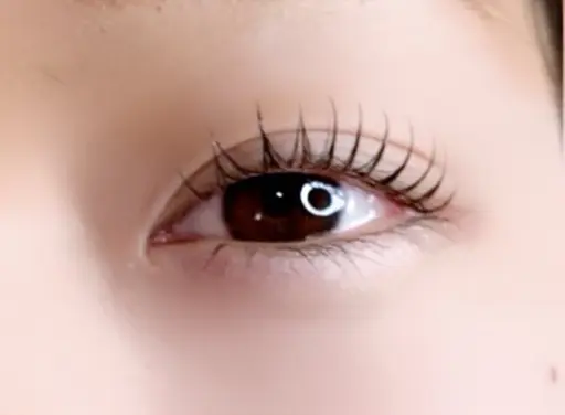 🦋ラッシュリフトカール🦋