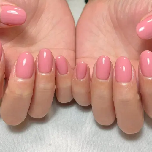 🉐12日限定🉐【HAND】オフなし限定！ワンカラー ¥3,980