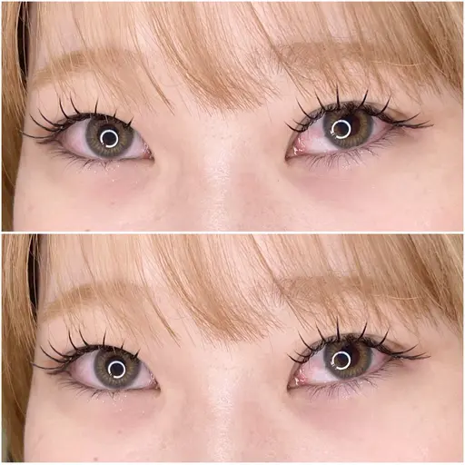 プレミアムカシミヤフラットラッシュ 120本🌱【オフ込み】