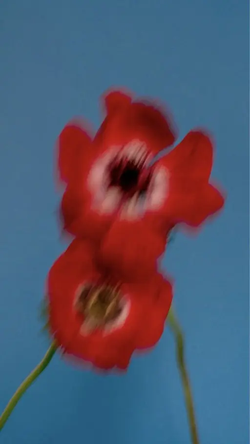 単品【アイブロウWAX  美眉スタイリング】　¥5,500