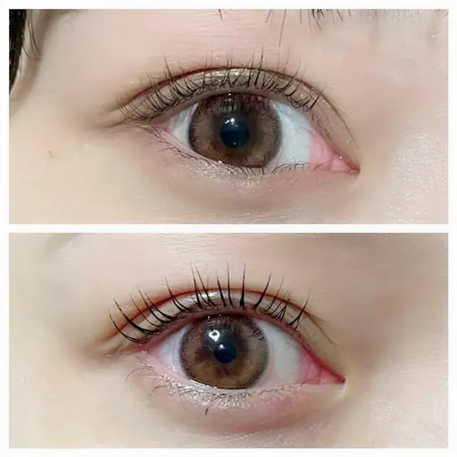 \12/23限定/ 次世代まつげパーマ